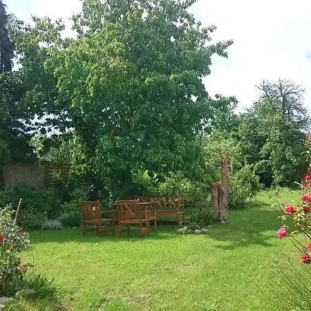 Apartment Sarka Cista (Rakovnik)