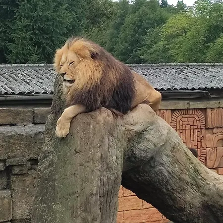 아파트 Sarka *