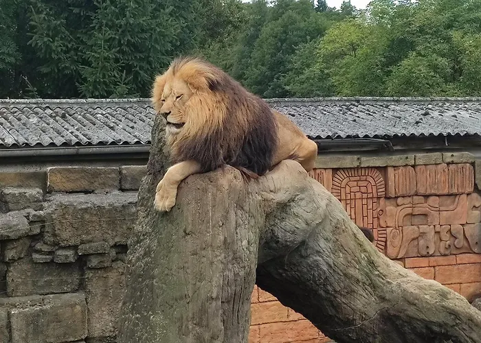아파트 Sarka *